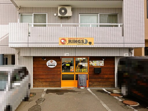 カリーショップ RINGS リングス (2017/03末で閉店)「野菜カレー」 画像1