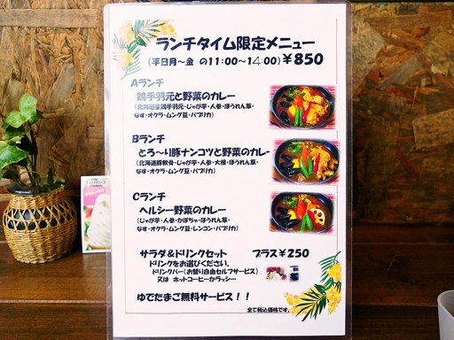 南インドスープカレー 天竺 札幌清田本店「鳥手羽元と野菜のカレー」 画像3