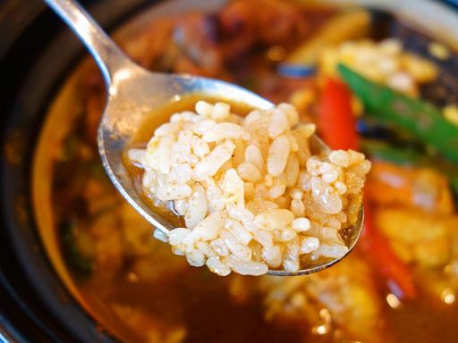 南インドスープカレー 天竺 札幌清田本店「鳥手羽元と野菜のカレー」 画像10