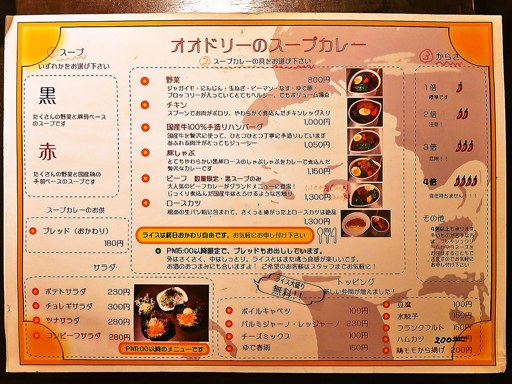 スープカレー屋 鴻 オオドリー 神田駿河台店「チキン」 画像2